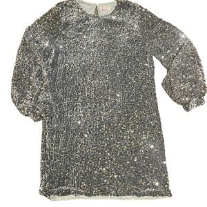 Silver Sequin Dress